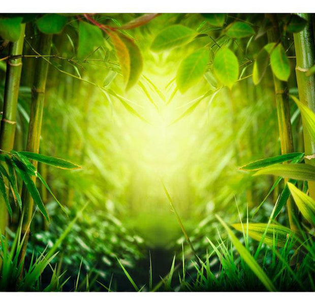 Peel & Stick Zen Wall Mural - Forest Bamboo Fairy - Removable Wall Decals