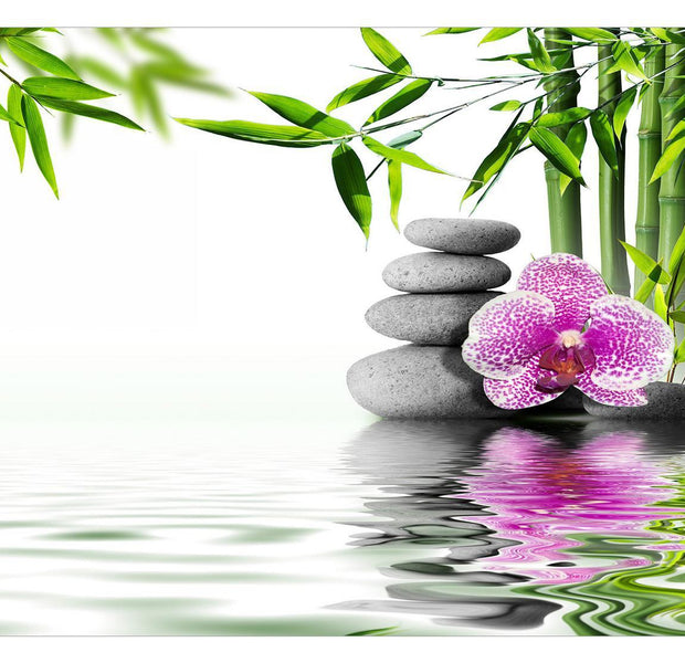 Peel & Stick Zen Wall Mural - Spiritual Garden - Removable Wall Decals