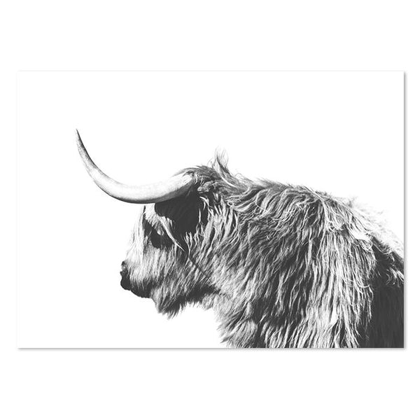 Black White Highland Cow Longhorn Canvas Prints-Tiptophomedecor