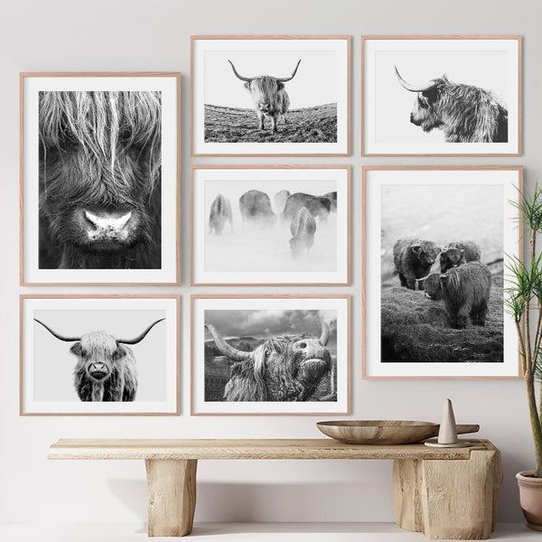 Black White Highland Cow Longhorn Canvas Prints-Tiptophomedecor