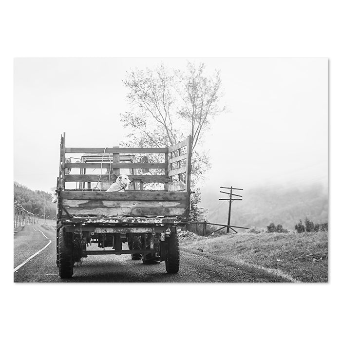 Black White Horses Truck Church Longhorn Canvas Prints-Tiptophomedecor