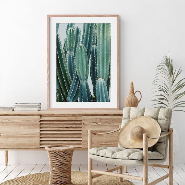 Botanical Cactus Succulent Photo Canvas Art Prints