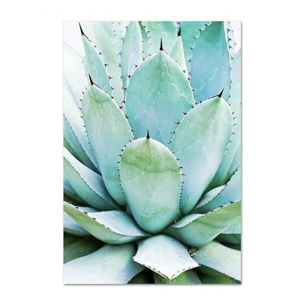 Botanical Cactus Succulent Photo Canvas Art Prints