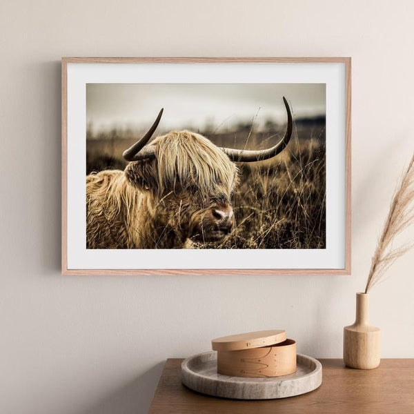 Nordic Animal Highland Cow Canvas Print-TipTopHomeDecor