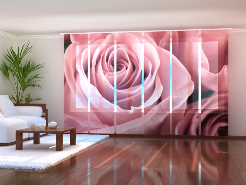 Tiptophomedecor Set of 6 Panel Blinds Amazing Pink Rose