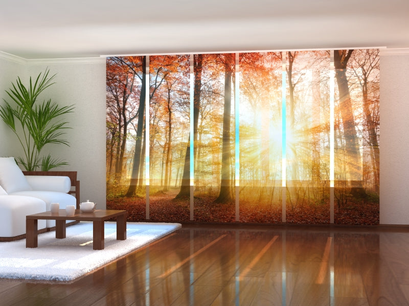 Tiptophomedecor Set of 6 Panel Blinds Beautiful Autumn Sunlight in a Forest