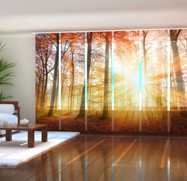 Tiptophomedecor Set of 6 Panel Blinds Beautiful Autumn Sunlight in a Forest