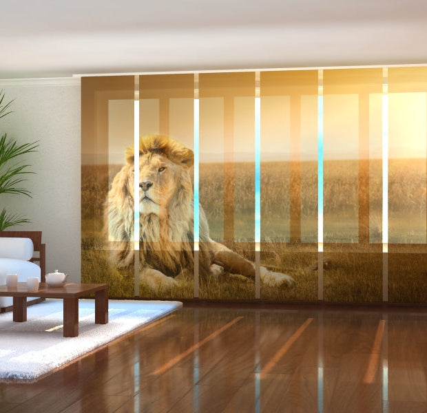 Tiptophomedecor Set of 6 Panel Blinds King of beasts