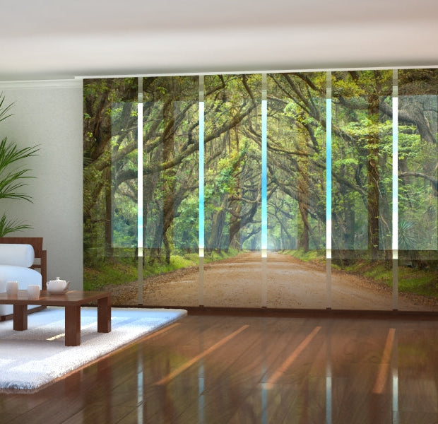 Tiptophomedecor Set of 6 Panel Blinds Oak Trees in Australian Botany Bay