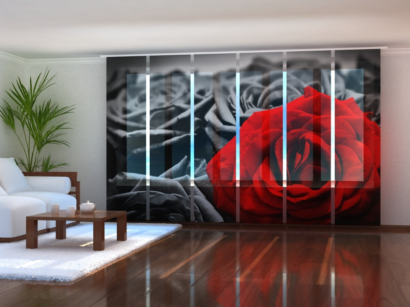 Tiptophomedecor Set of 6 Panel Blinds Red Rose on Black and White