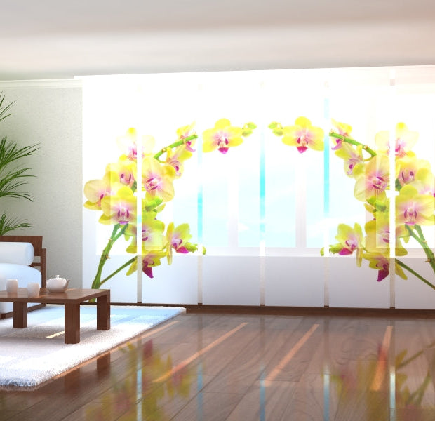 Tiptophomedecor Set of 6 Panel Blinds Sunny Orchid 2