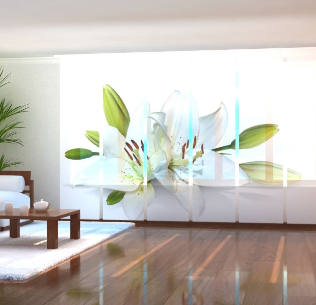 Tiptophomedecor Set of 6 Panel Blinds Crystal Lily