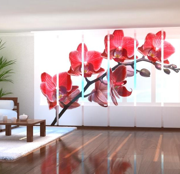 Tiptophomedecor Set of 6 Panel Blinds Queen of Orchids