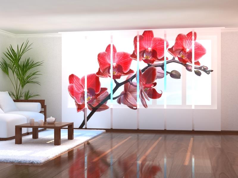 Tiptophomedecor Set of 6 Panel Blinds Queen of Orchids