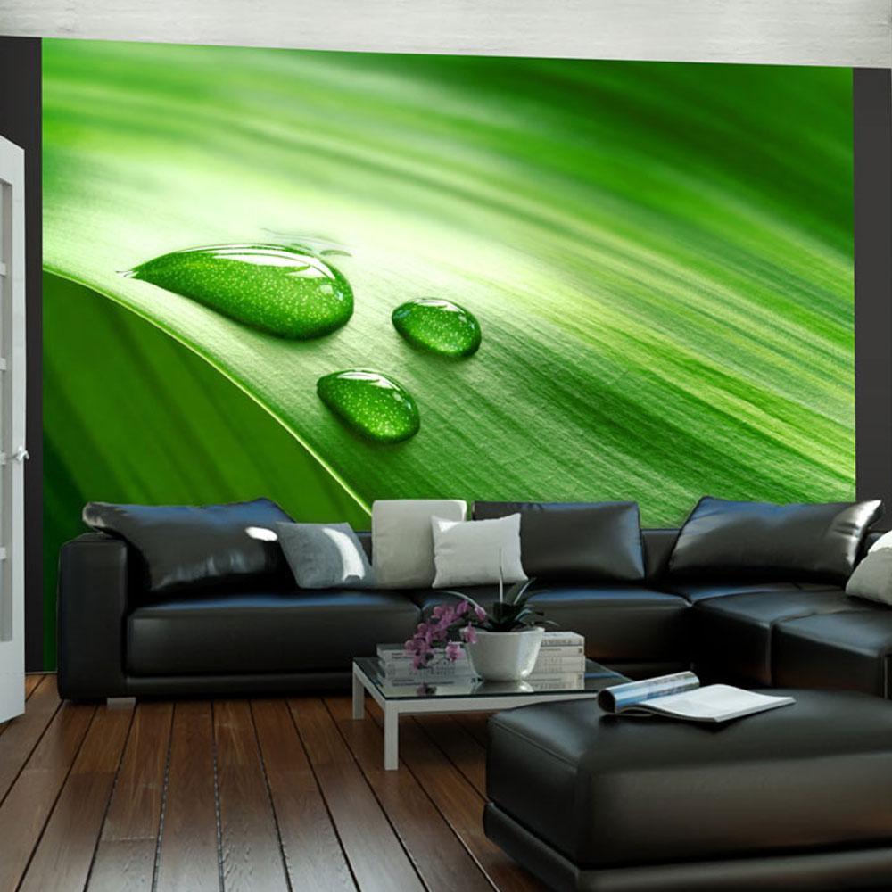 Wall mural - Leaf and three drops of water-TipTopHomeDecor