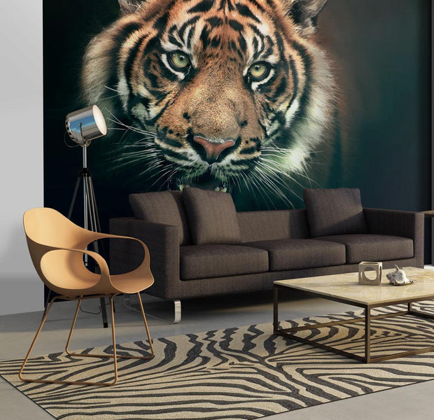 Wall mural - Bengal Tiger-TipTopHomeDecor