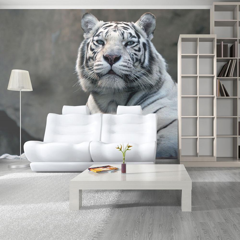 Wall mural - Bengali tiger in zoo-TipTopHomeDecor