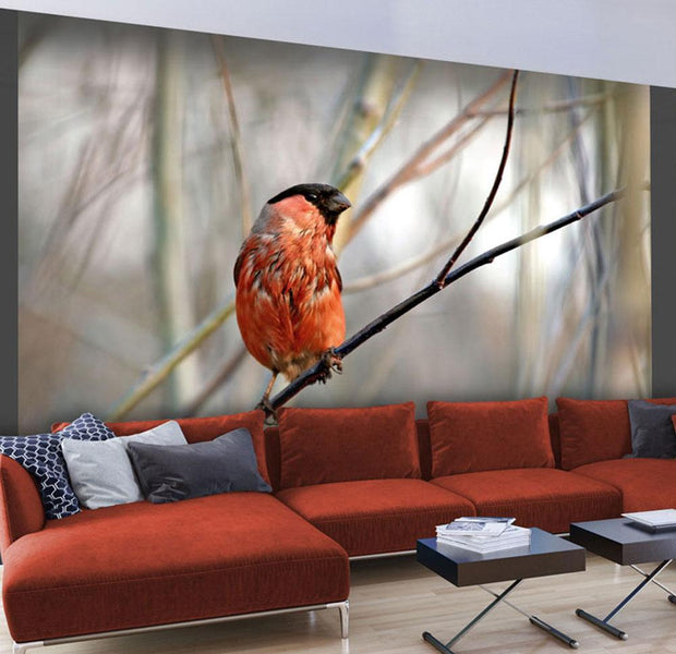 Wall mural - Bullfinch in the forest-TipTopHomeDecor