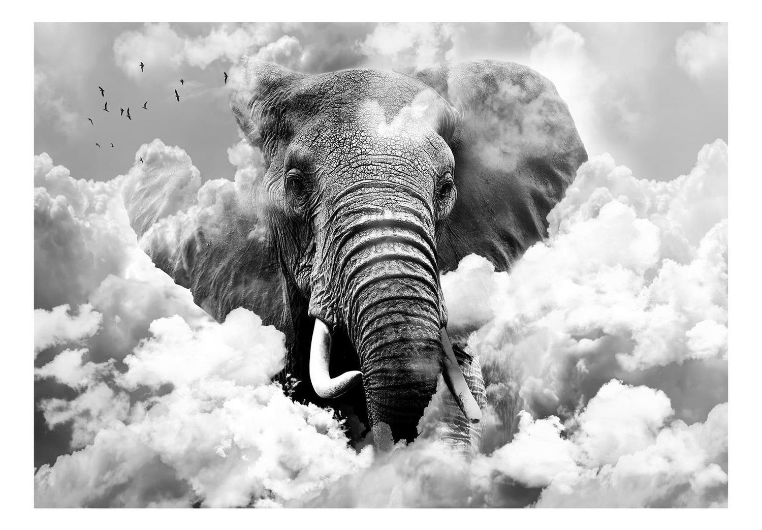 Wall mural - Elephant in the Clouds (Black and White)-TipTopHomeDecor