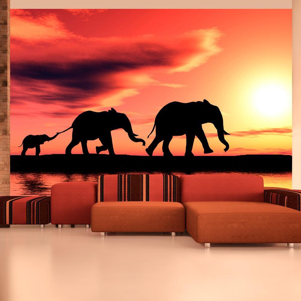 Wall mural - elephants: family-TipTopHomeDecor