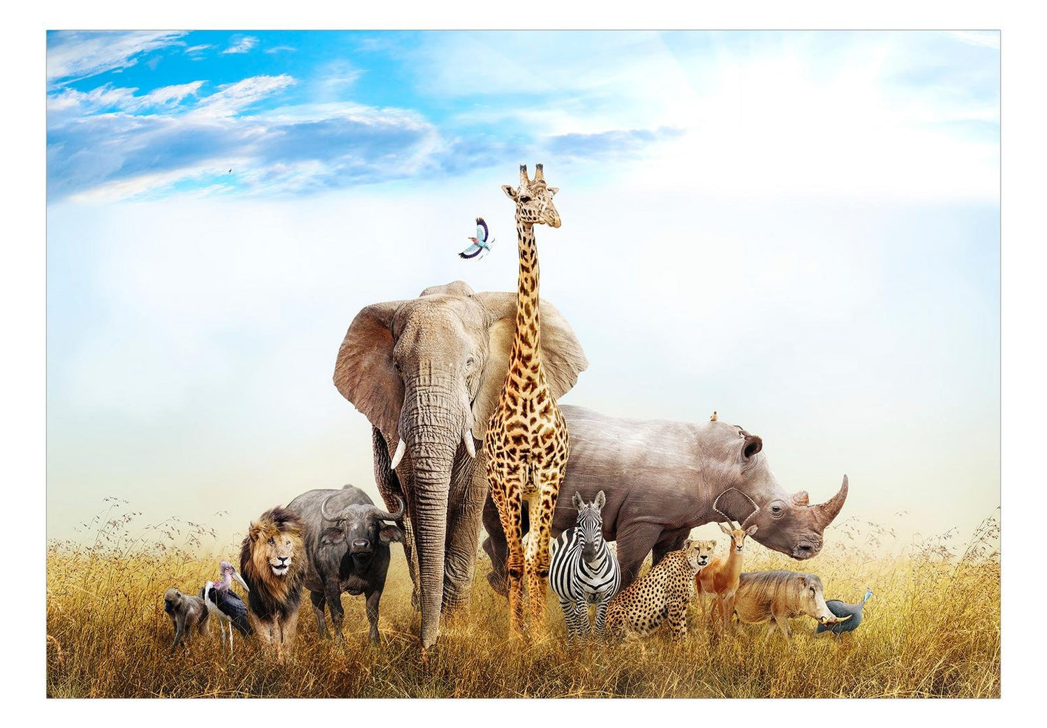 Animal Wall Mural - Fauna Of Africa-Tiptophomedecor