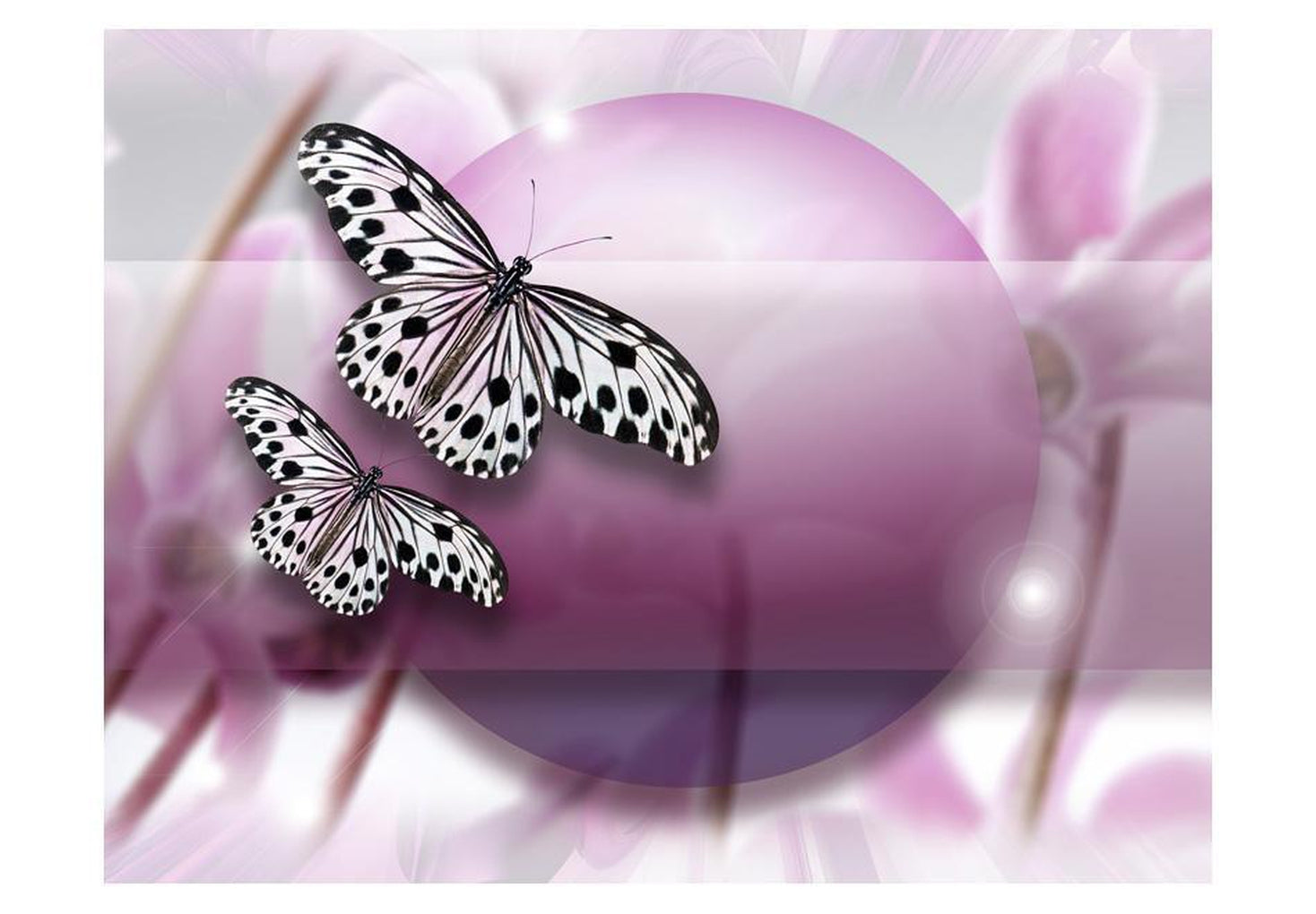 Wall mural - Fly, Butterfly!-TipTopHomeDecor