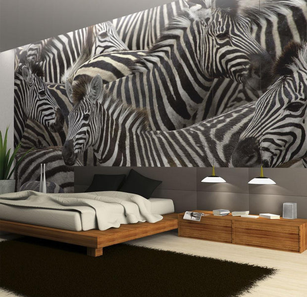 Wall mural - Herd of zebras-TipTopHomeDecor