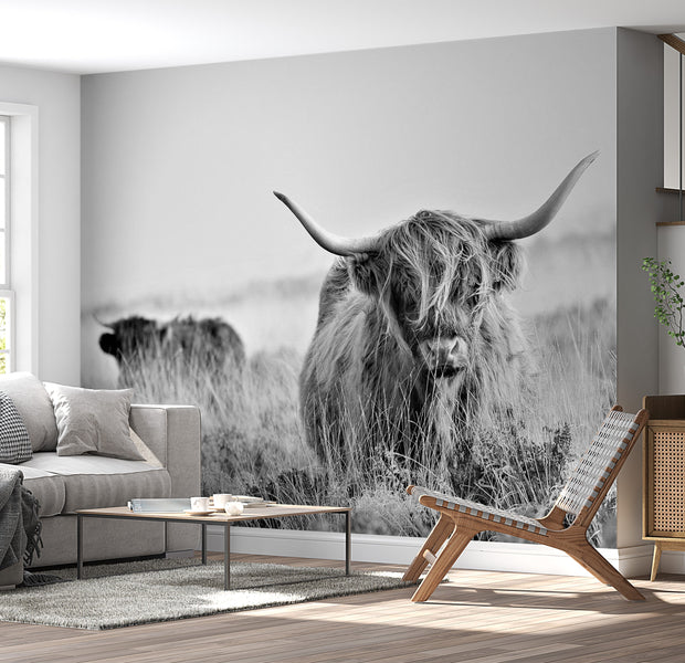 Animal Wall Mural - Highland Cattle-Tiptophomedecor