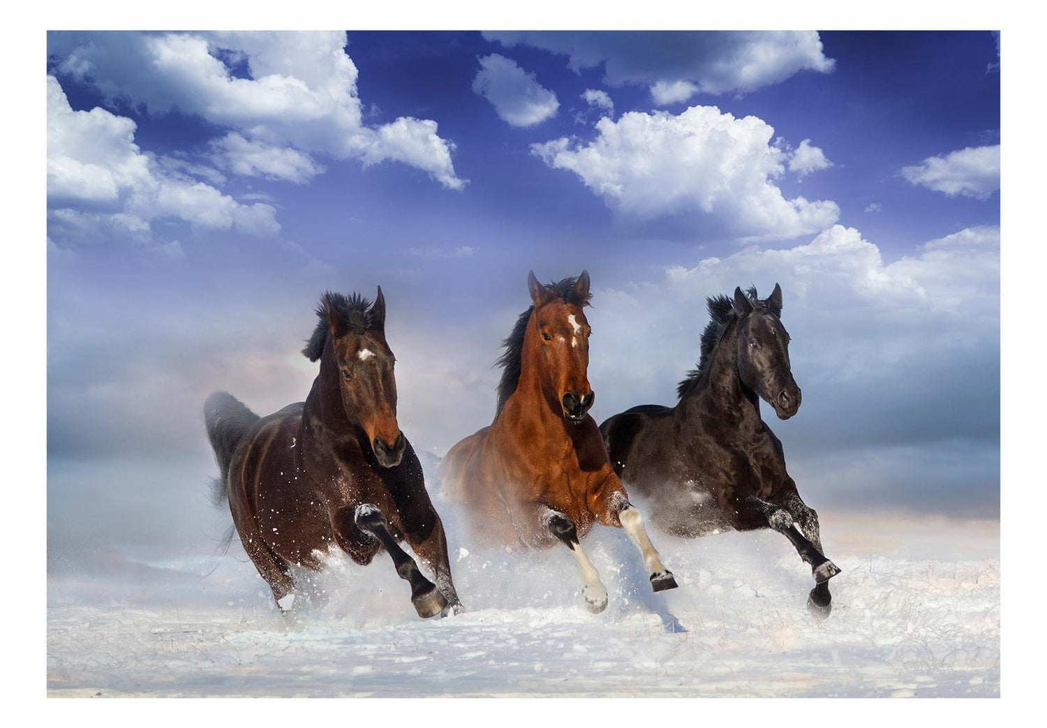 Wall mural - Horses in the Snow-TipTopHomeDecor