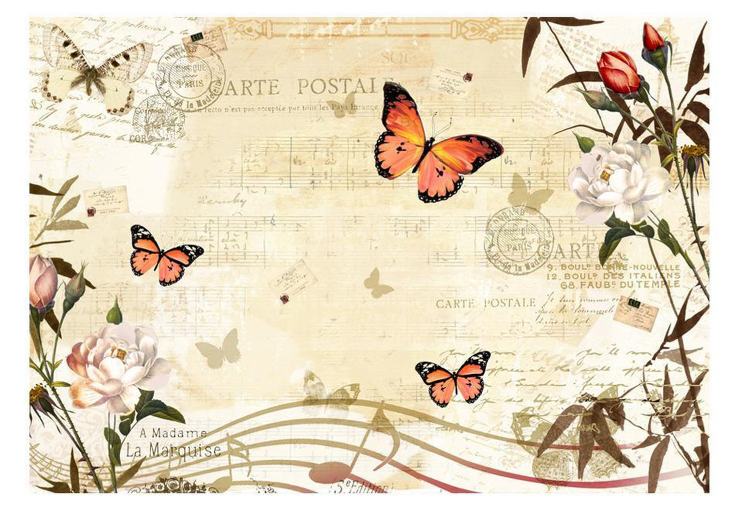 Wall mural - Melodies of butterflies-TipTopHomeDecor
