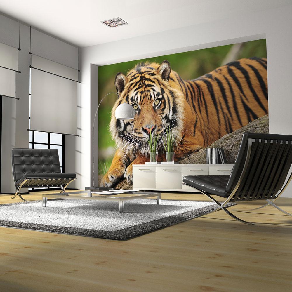 Wall mural - Sumatran tiger-TipTopHomeDecor