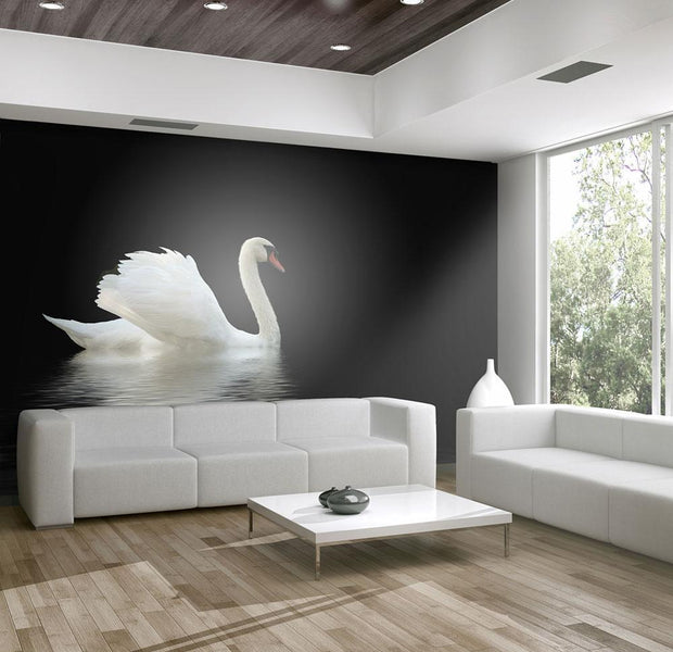 Wall mural - swan (black and white)-TipTopHomeDecor