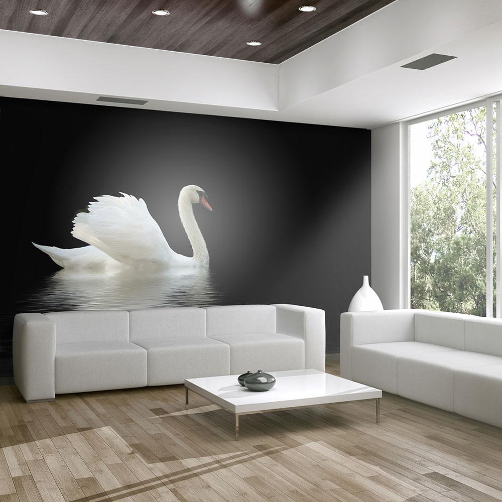 Wall mural - swan (black and white)-TipTopHomeDecor