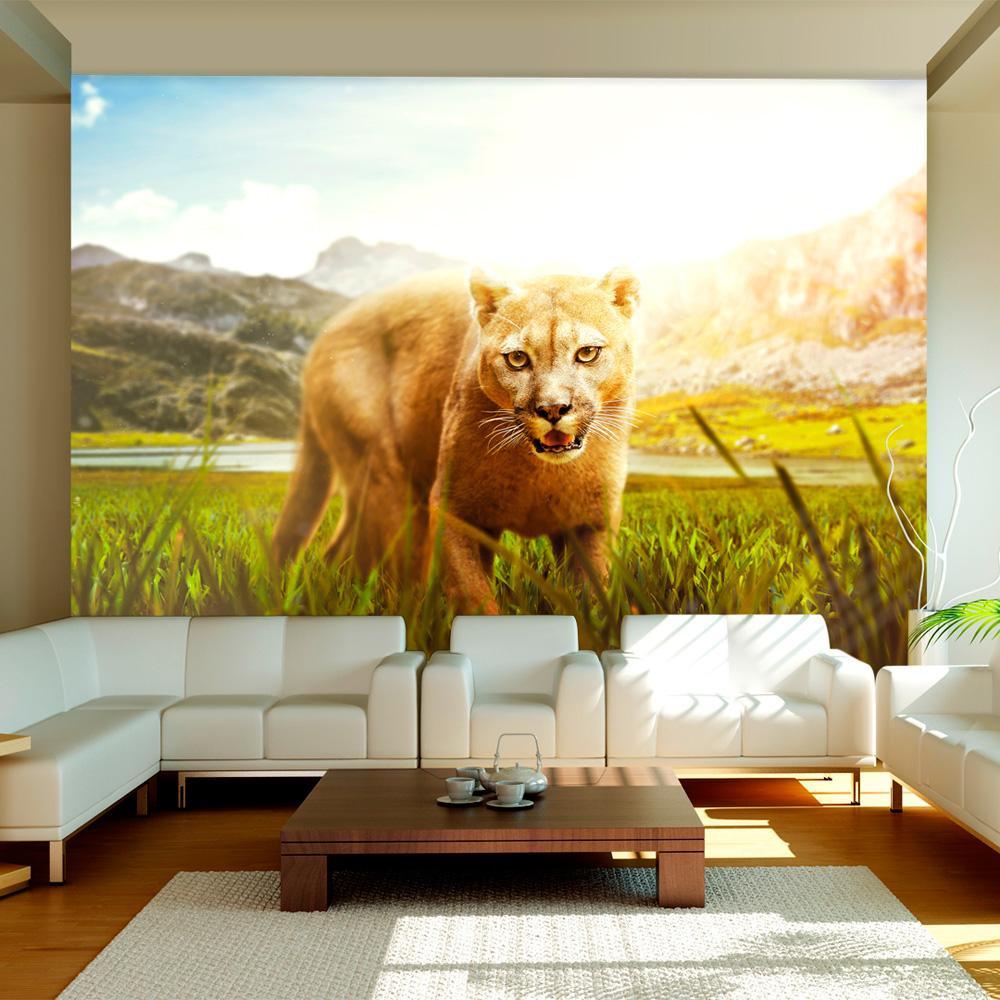 Wall mural - Watch out!-TipTopHomeDecor