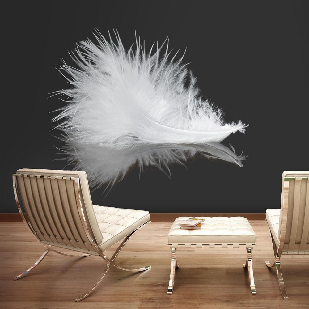 Wall mural - White feather-TipTopHomeDecor