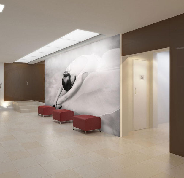 Wall mural - photo: ballerina-TipTopHomeDecor