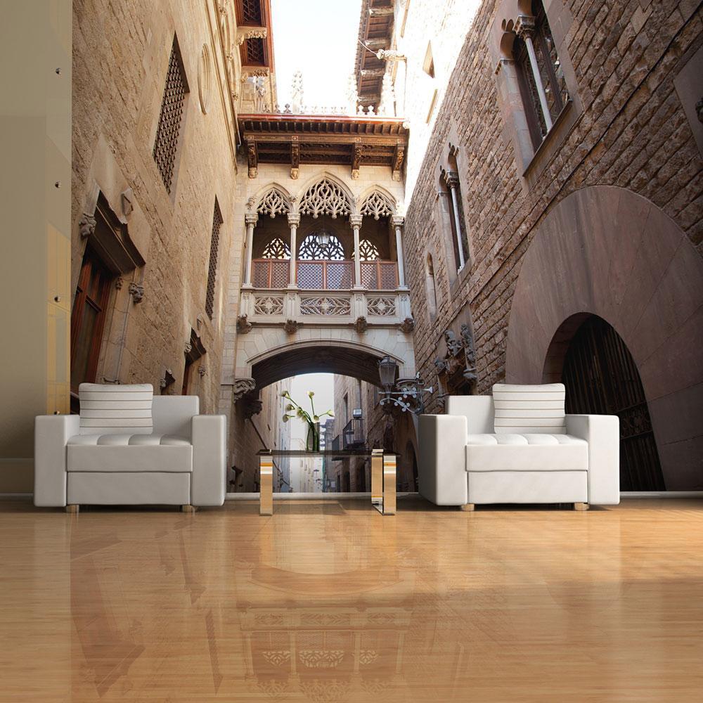 Wall mural - Barcelona Palau generalitat in gothic Barrio-TipTopHomeDecor