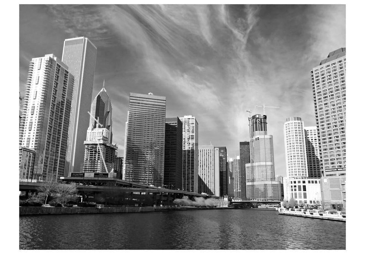 Wall mural - Chicago skyline (black and white)-TipTopHomeDecor