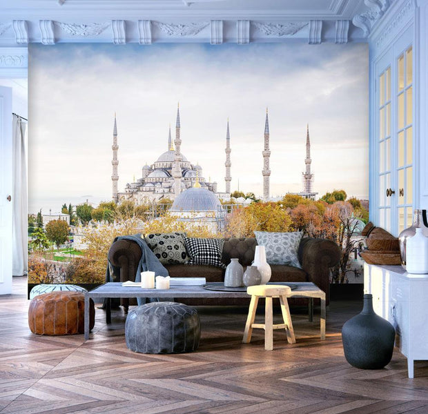 Wall mural - Hagia Sophia - Istanbul-TipTopHomeDecor