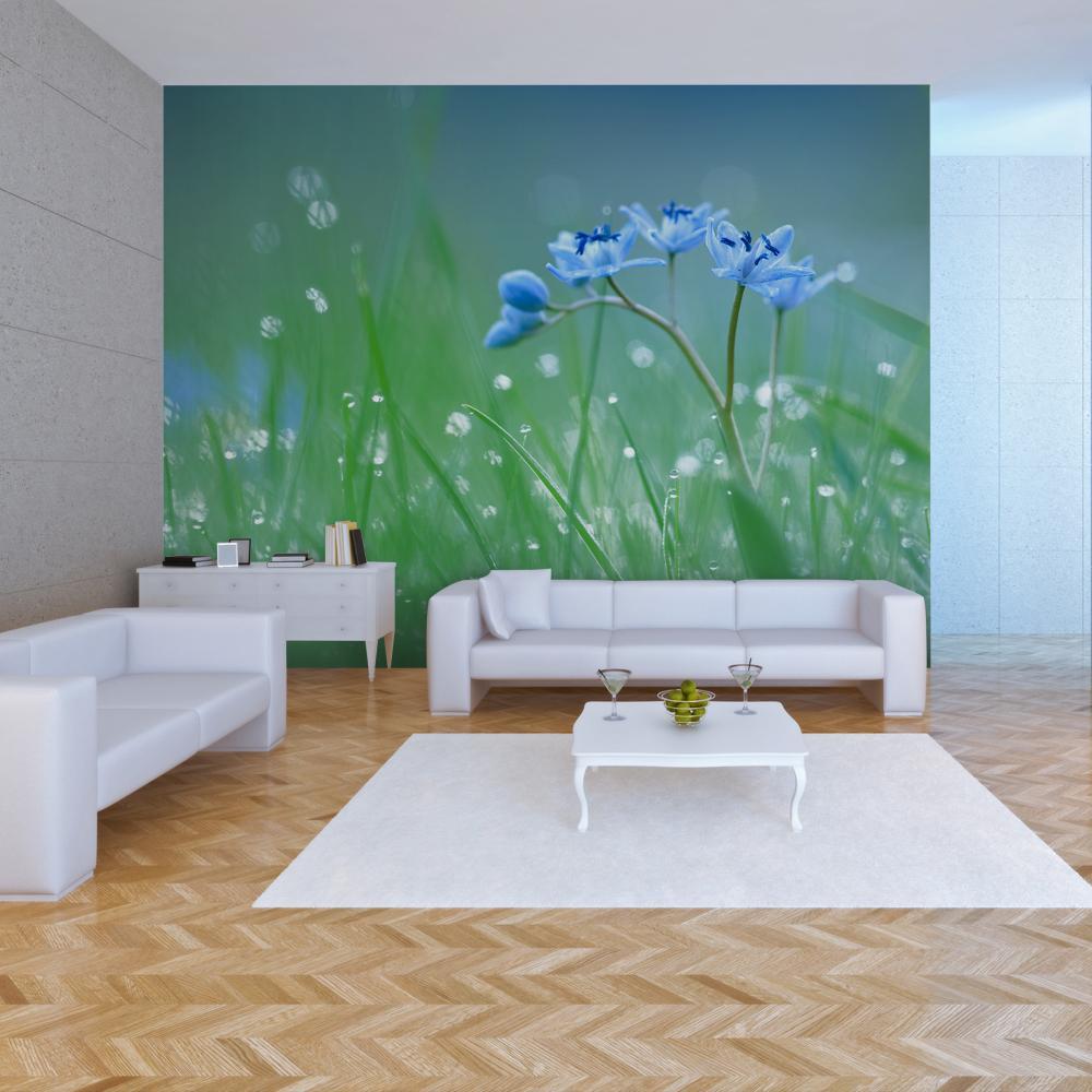 Wall mural - A meadow at dawn-TipTopHomeDecor