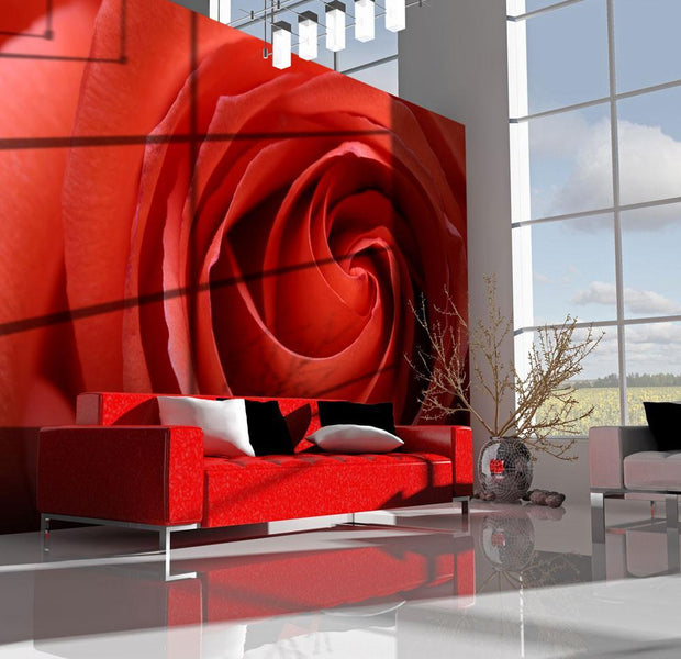 Wall mural - Awakening rose-TipTopHomeDecor