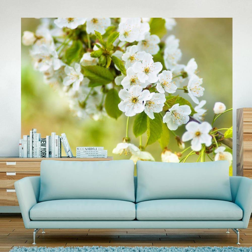 Wall mural - Beautiful delicate cherry blossoms-TipTopHomeDecor