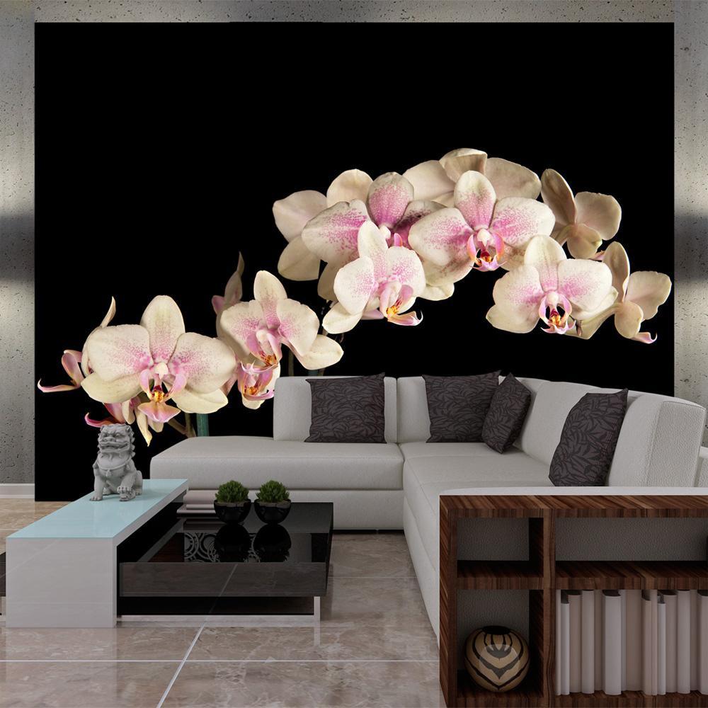 Wall mural - Blooming orchid-TipTopHomeDecor