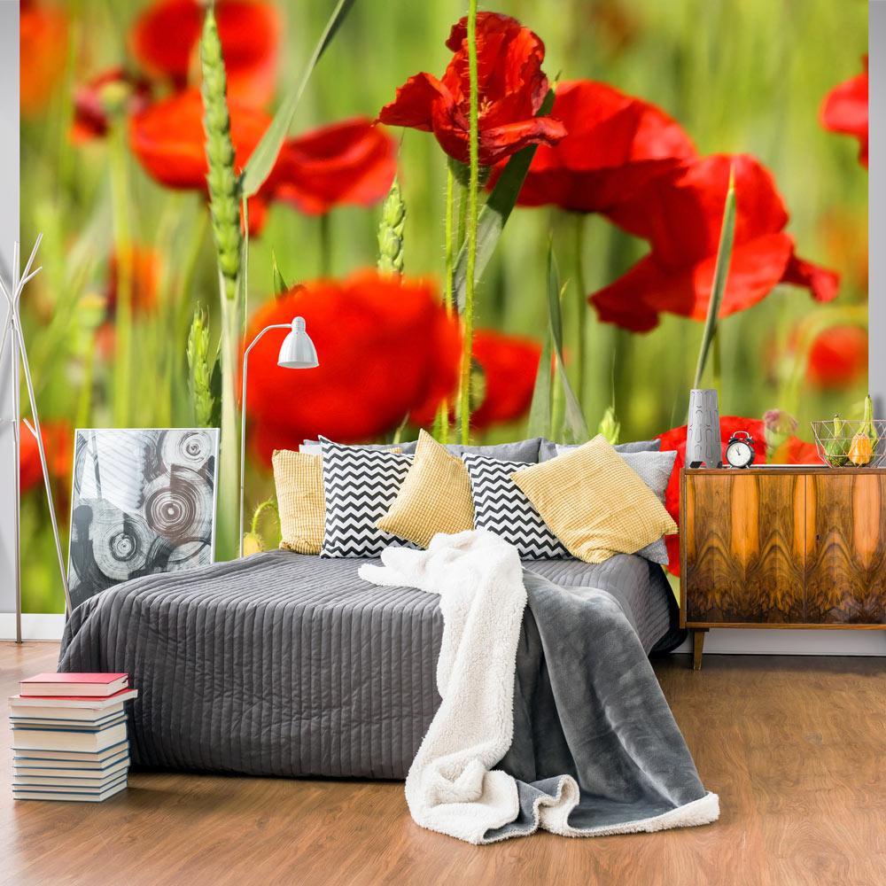 Wall mural - Cereal field with poppies-TipTopHomeDecor