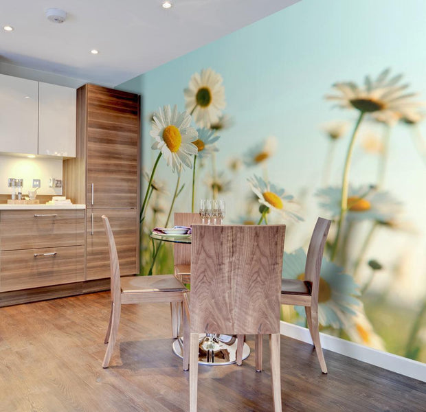 Wall mural - Daisies - spring meadow-TipTopHomeDecor