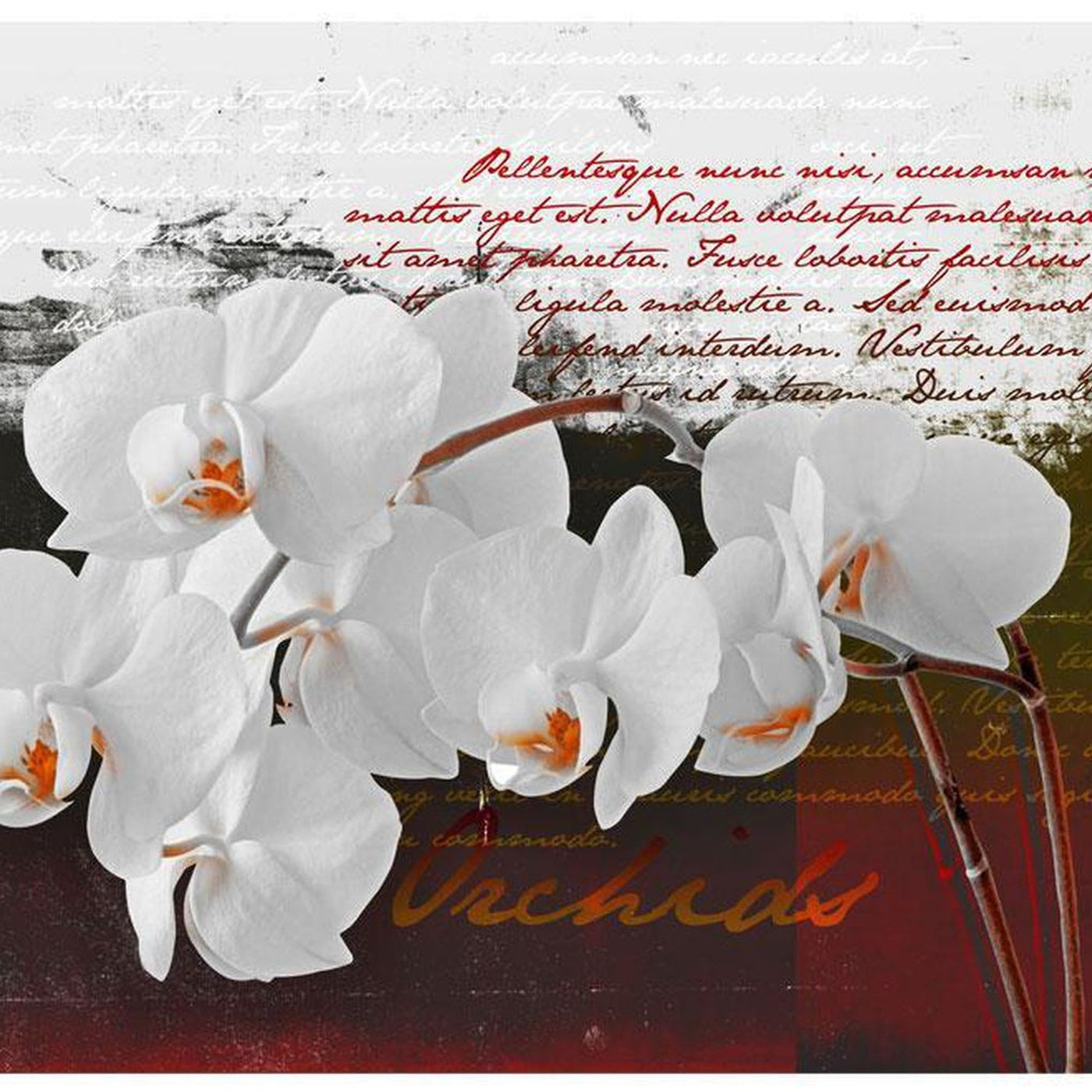 Wall mural - Diary and orchid-TipTopHomeDecor