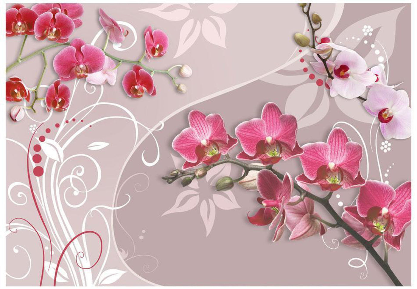 Wall mural - Flight of pink orchids-TipTopHomeDecor