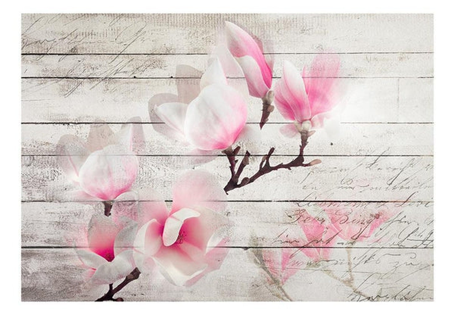 Wall mural - Gentleness of the Magnolia-TipTopHomeDecor