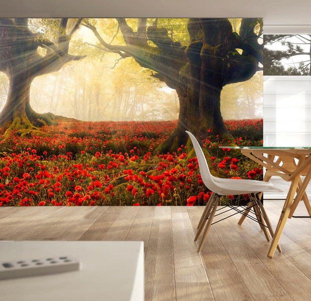 Wall mural - Morning among poppies-TipTopHomeDecor