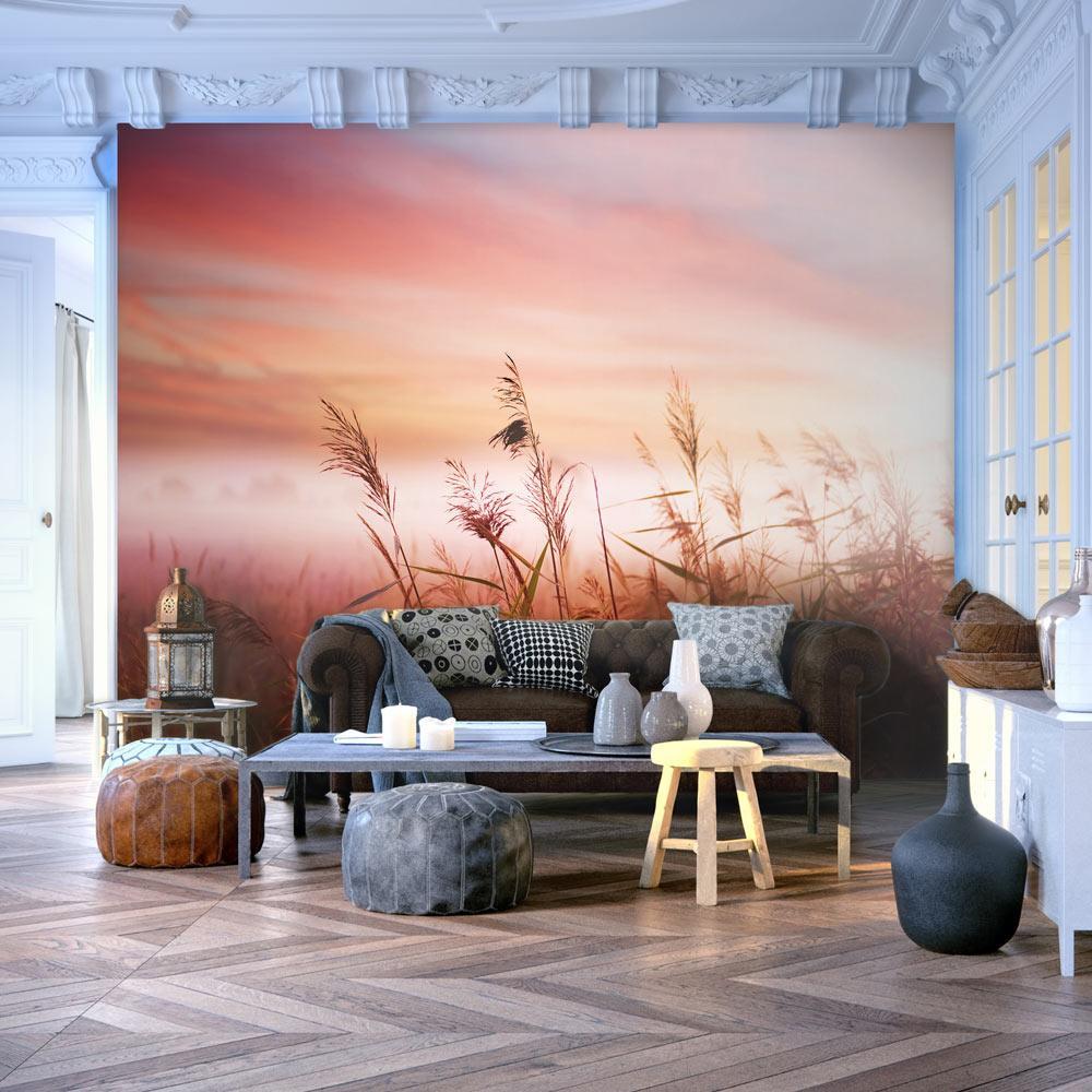 Wall mural - Morning meadow-TipTopHomeDecor
